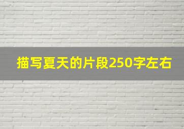 描写夏天的片段250字左右