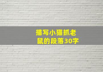 描写小猫抓老鼠的段落30字