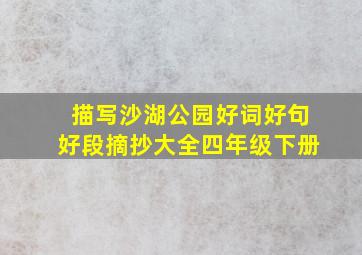 描写沙湖公园好词好句好段摘抄大全四年级下册