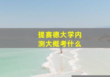 提赛德大学内测大概考什么