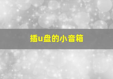 插u盘的小音箱