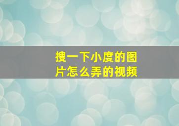 搜一下小度的图片怎么弄的视频