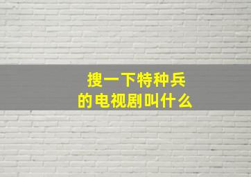 搜一下特种兵的电视剧叫什么