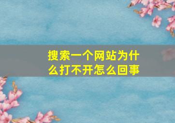 搜索一个网站为什么打不开怎么回事