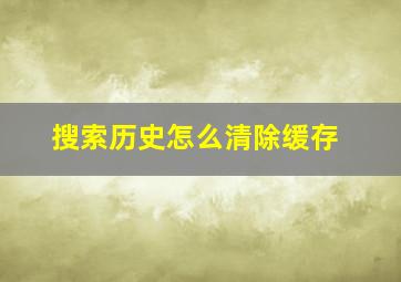 搜索历史怎么清除缓存