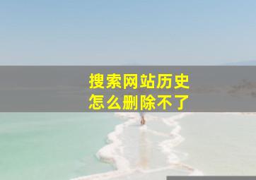 搜索网站历史怎么删除不了