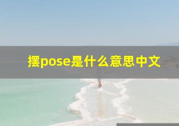 摆pose是什么意思中文