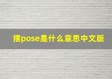 摆pose是什么意思中文版