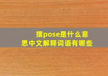 摆pose是什么意思中文解释词语有哪些