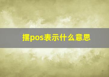 摆pos表示什么意思