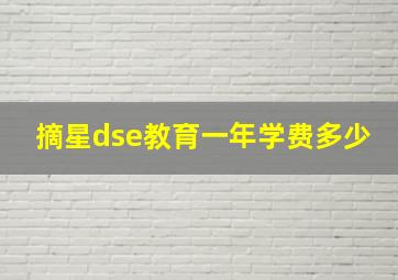 摘星dse教育一年学费多少