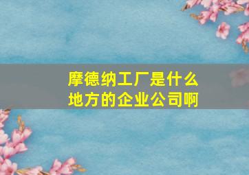 摩德纳工厂是什么地方的企业公司啊