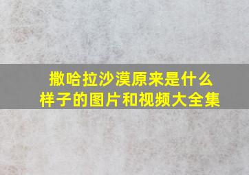 撒哈拉沙漠原来是什么样子的图片和视频大全集