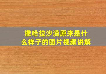 撒哈拉沙漠原来是什么样子的图片视频讲解