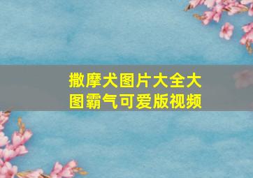 撒摩犬图片大全大图霸气可爱版视频