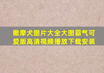 撒摩犬图片大全大图霸气可爱版高清视频播放下载安装