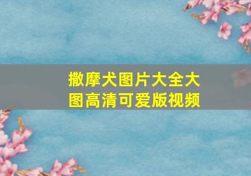 撒摩犬图片大全大图高清可爱版视频