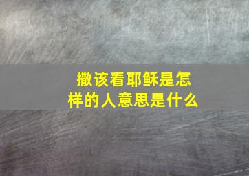 撒该看耶稣是怎样的人意思是什么