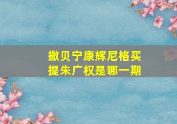 撒贝宁康辉尼格买提朱广权是哪一期