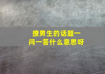 撩男生的话题一问一答什么意思呀