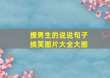 撩男生的说说句子搞笑图片大全大图