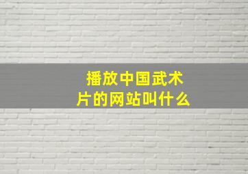 播放中国武术片的网站叫什么