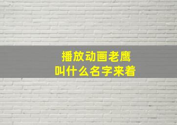 播放动画老鹰叫什么名字来着