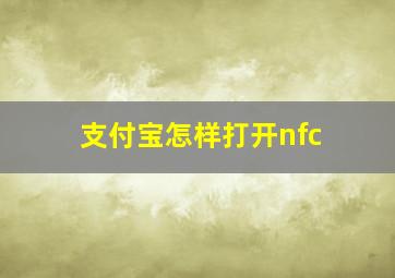 支付宝怎样打开nfc