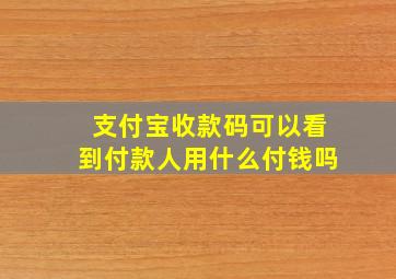 支付宝收款码可以看到付款人用什么付钱吗