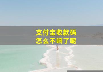 支付宝收款码怎么不响了呢