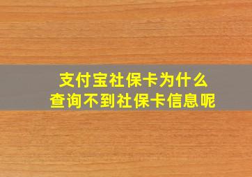 支付宝社保卡为什么查询不到社保卡信息呢