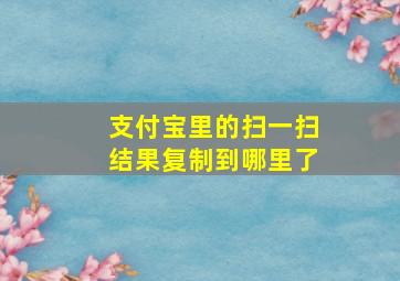 支付宝里的扫一扫结果复制到哪里了