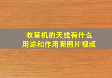 收音机的天线有什么用途和作用呢图片视频