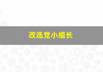 改选党小组长