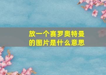 放一个赛罗奥特曼的图片是什么意思