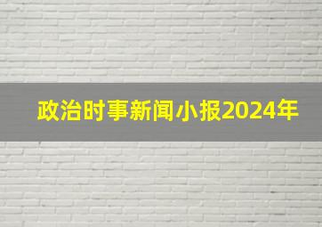 政治时事新闻小报2024年