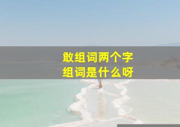 敢组词两个字组词是什么呀