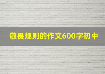 敬畏规则的作文600字初中