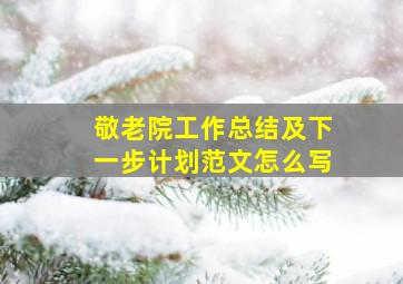 敬老院工作总结及下一步计划范文怎么写