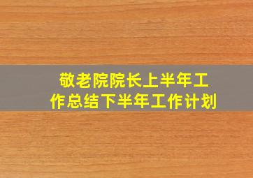 敬老院院长上半年工作总结下半年工作计划