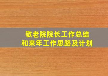 敬老院院长工作总结和来年工作思路及计划