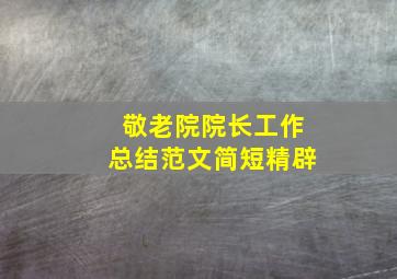 敬老院院长工作总结范文简短精辟