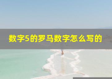 数字5的罗马数字怎么写的