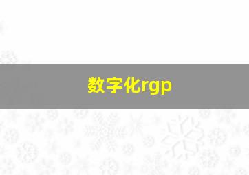 数字化rgp