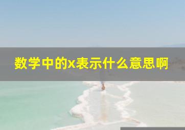 数学中的x表示什么意思啊