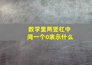 数学里两竖杠中间一个0表示什么