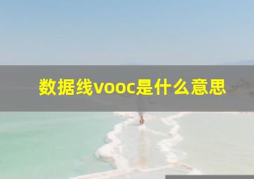 数据线vooc是什么意思