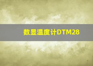 数显温度计DTM28