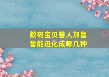 数码宝贝兽人加鲁鲁能进化成哪几种