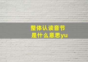 整体认读音节是什么意思yu